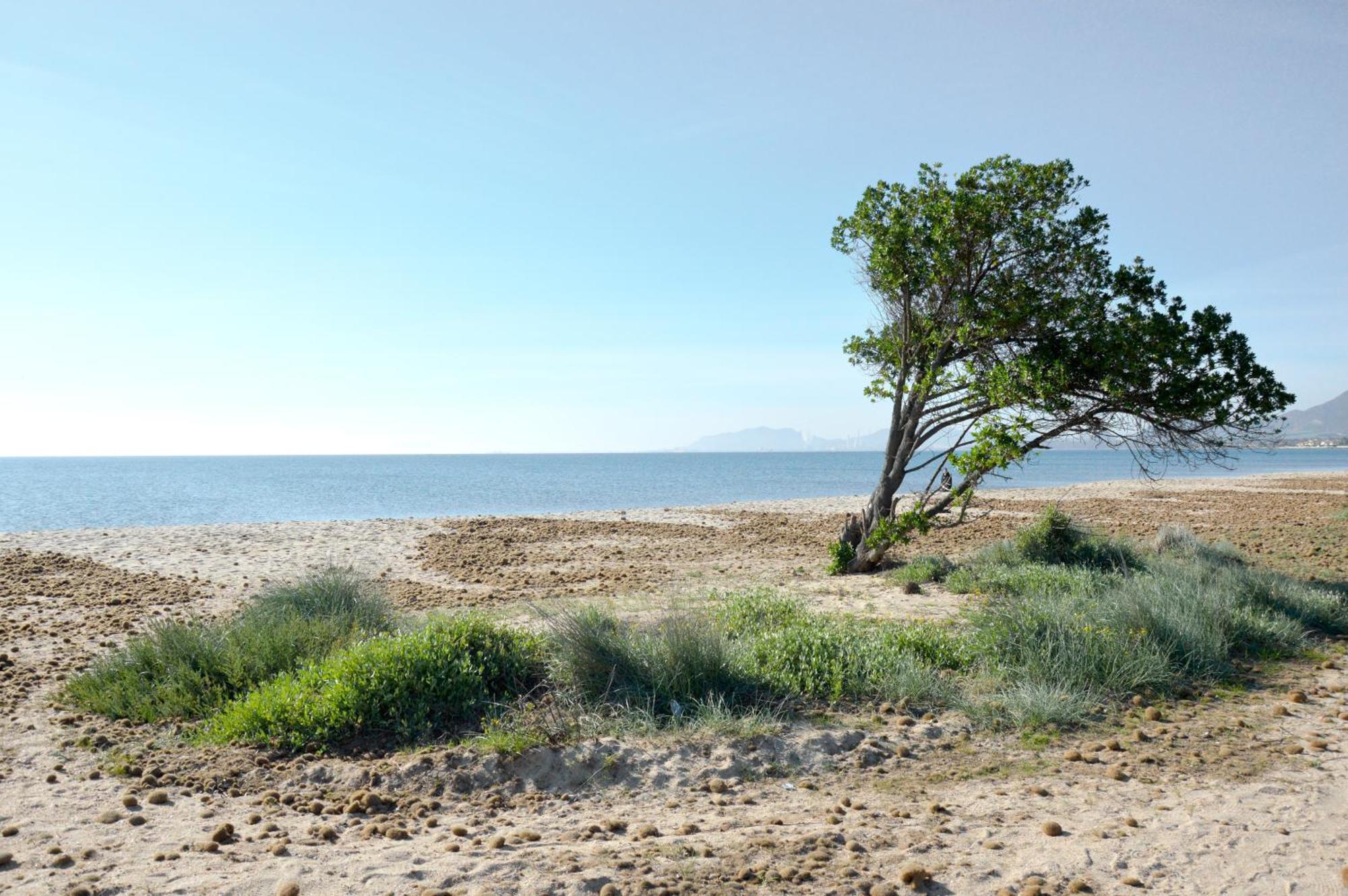 Room Maddalena Spiaggia كابوتيرا المظهر الخارجي الصورة